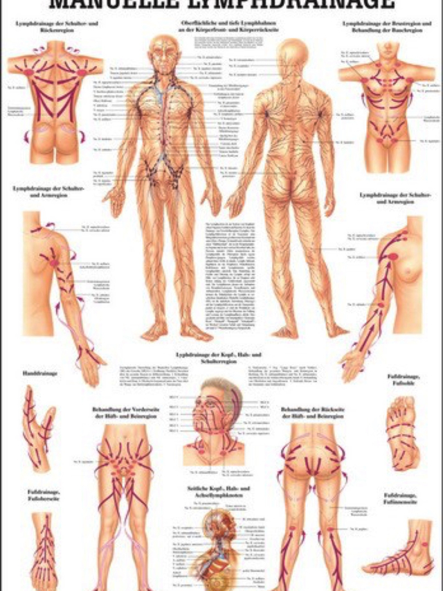 Mini-Poster - Manuelle Lymphdrainage, 24 x 34 cm